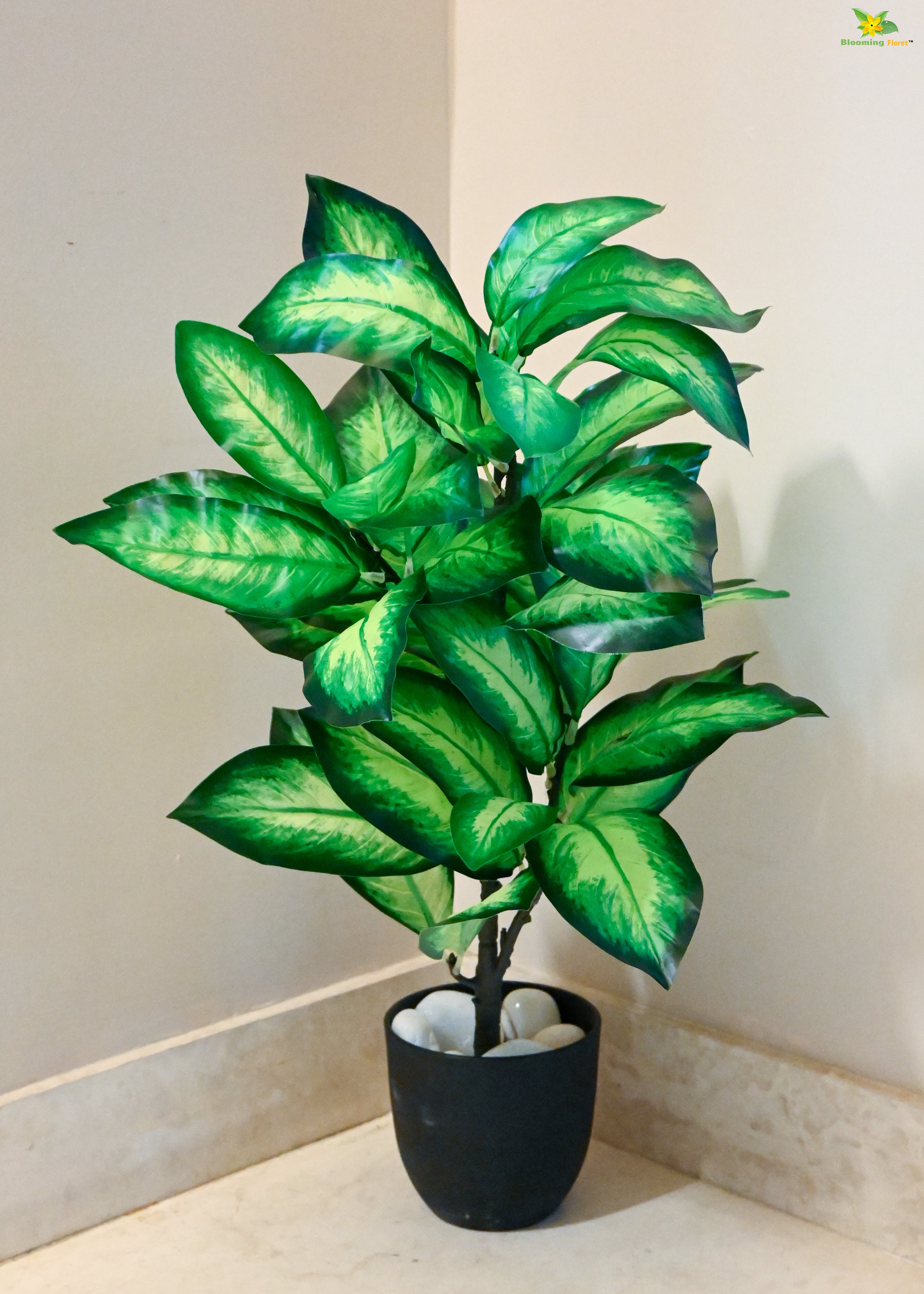 Artificial Dieffenbachia Seguine Plant for Decor 30 Leaves with Basic Pot | 65 cm