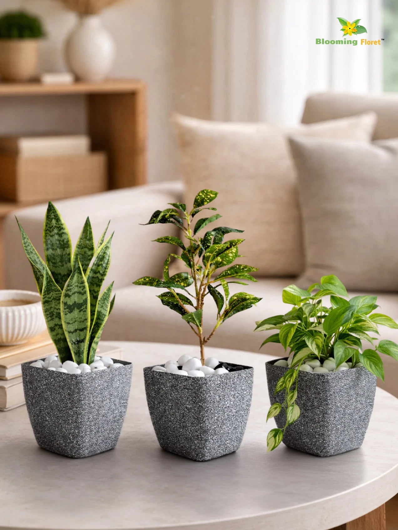 Coarse Textured Square Planter Pot | 10 cm | Set of 3