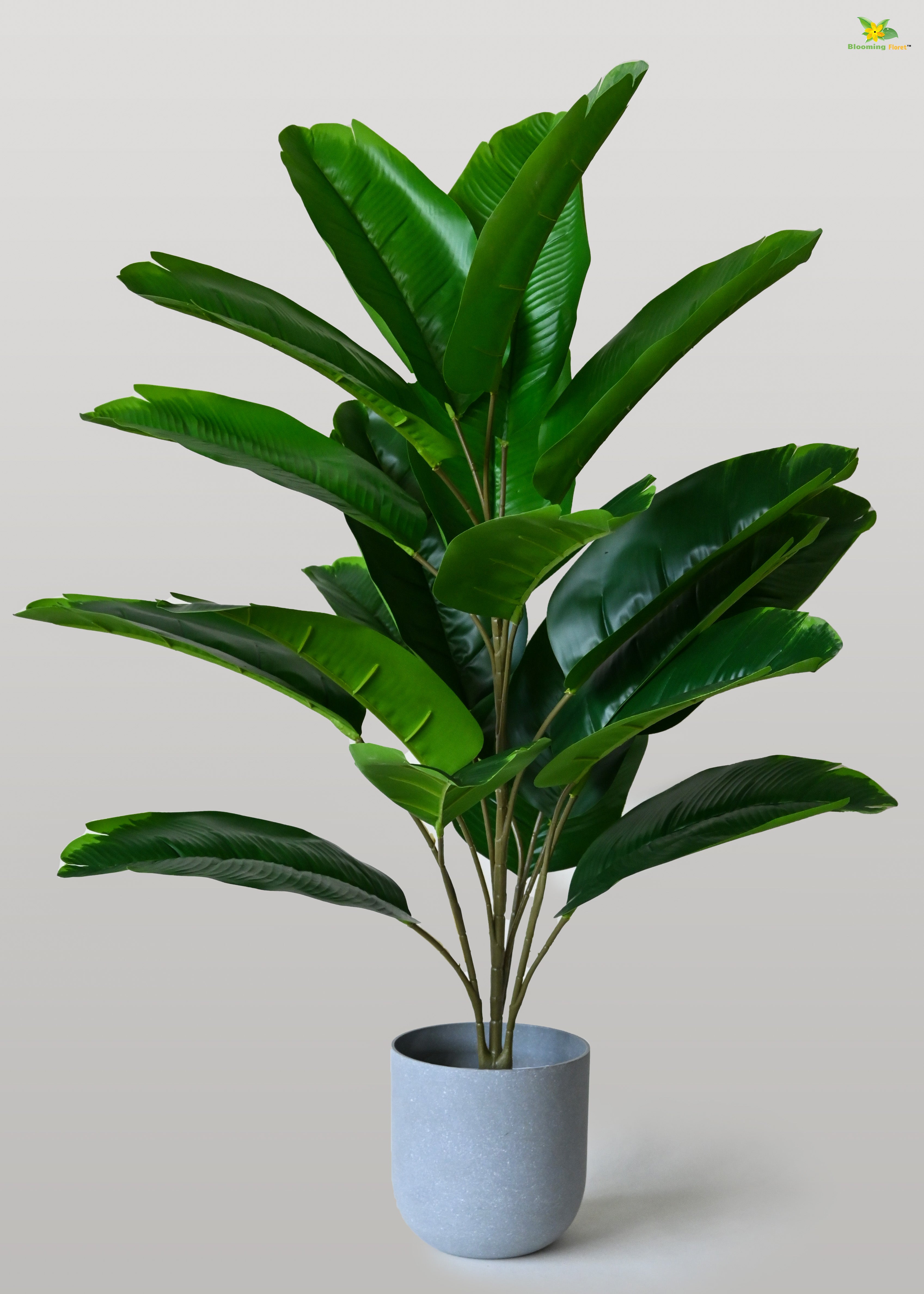 Artificial Birds of Paradise Plant for Decor | 21 Leaves with Basic Pot | 78.7 cm