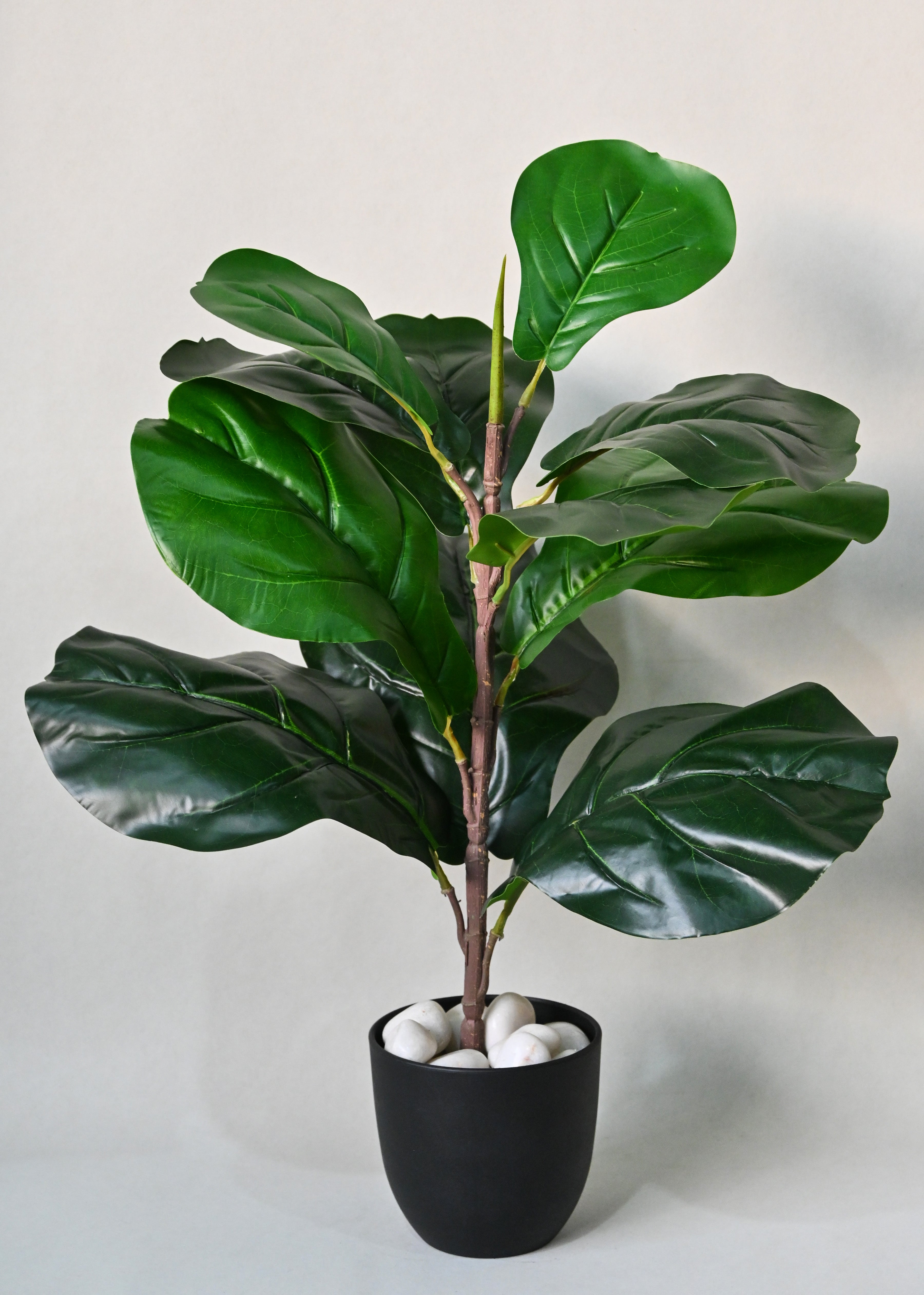 Artificial Fiddle-Leaf Fig Plant for Decor 11 Leaves with Basic Pot | 58.4 cm