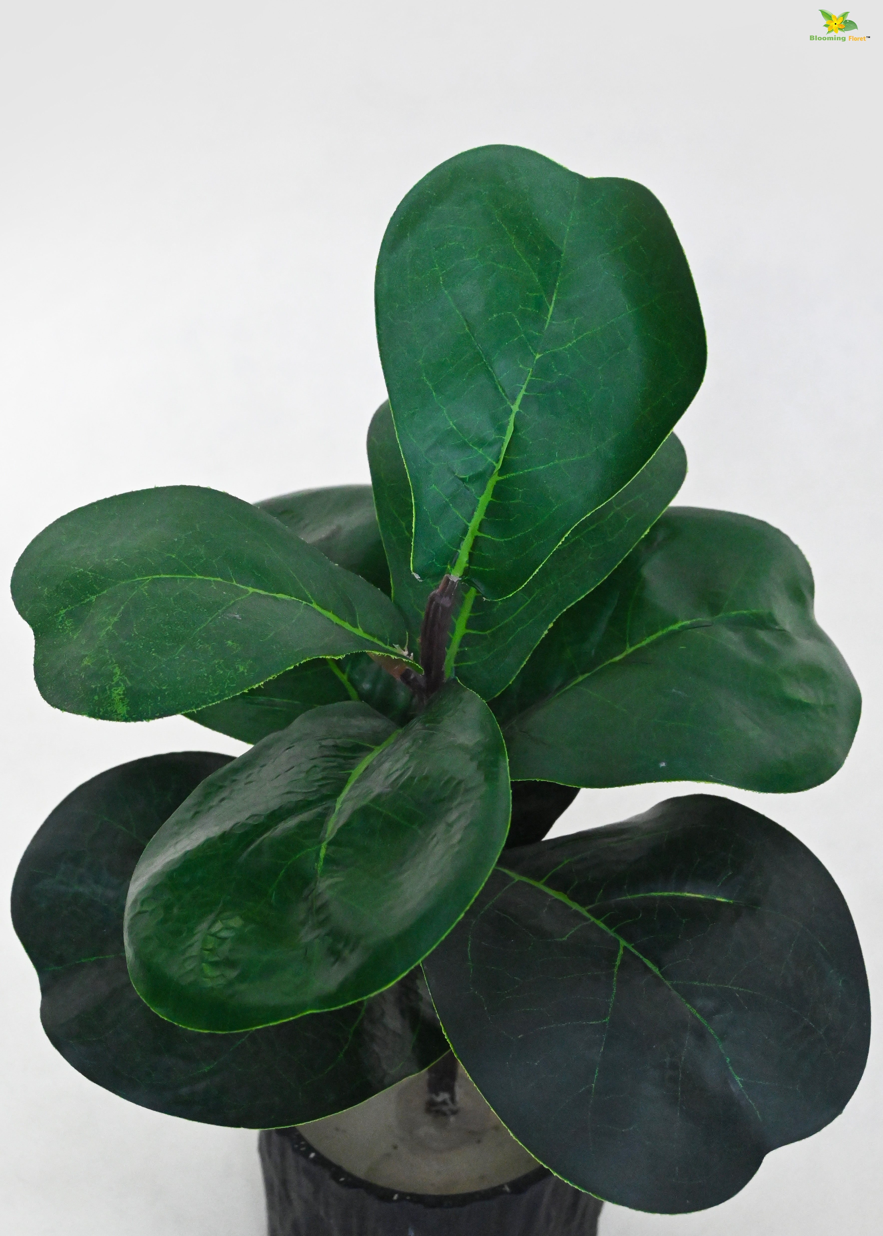 Artificial Fiddle-Leaf Fig Plant for Decor | 9 Leaves with Basic Pot | 27.9 cm