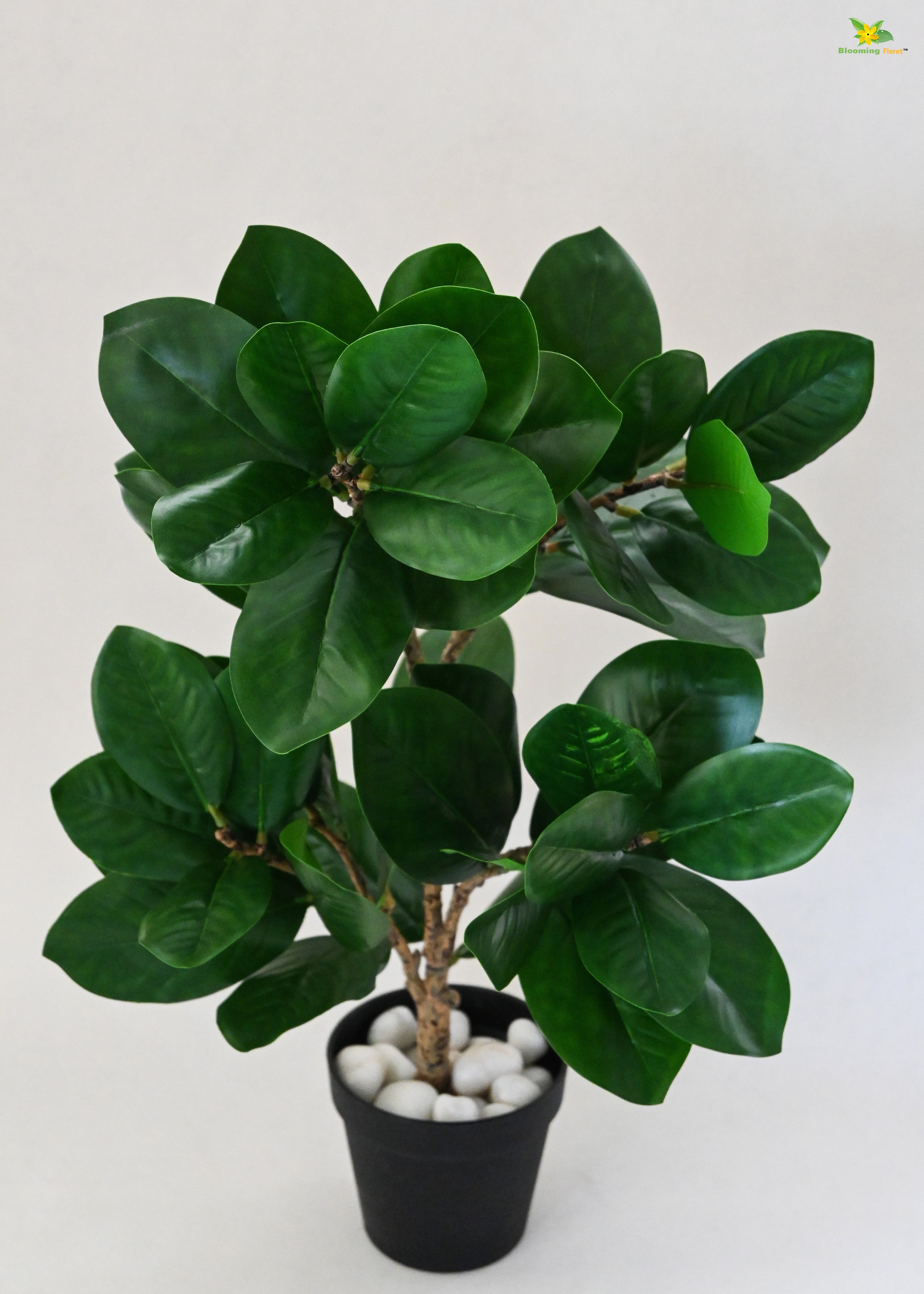 Artificial Fig Plant for Decor | 52 Leaves with Basic Pot | 68.5 cm