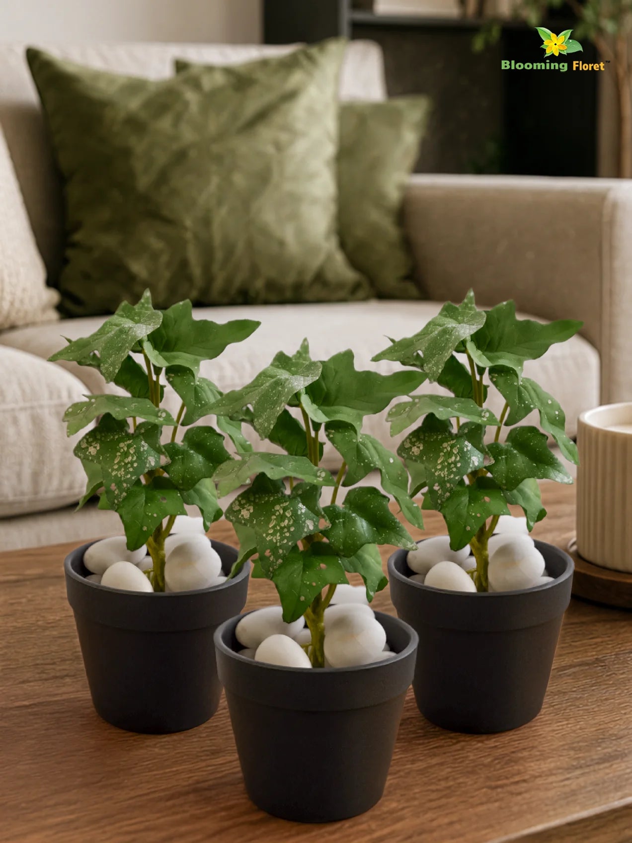 Artificial Ivy Succulent | Green | 16 cm | Set of 3