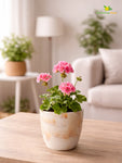 Vivid Tie-Dye Planter | Beige | 12 cm