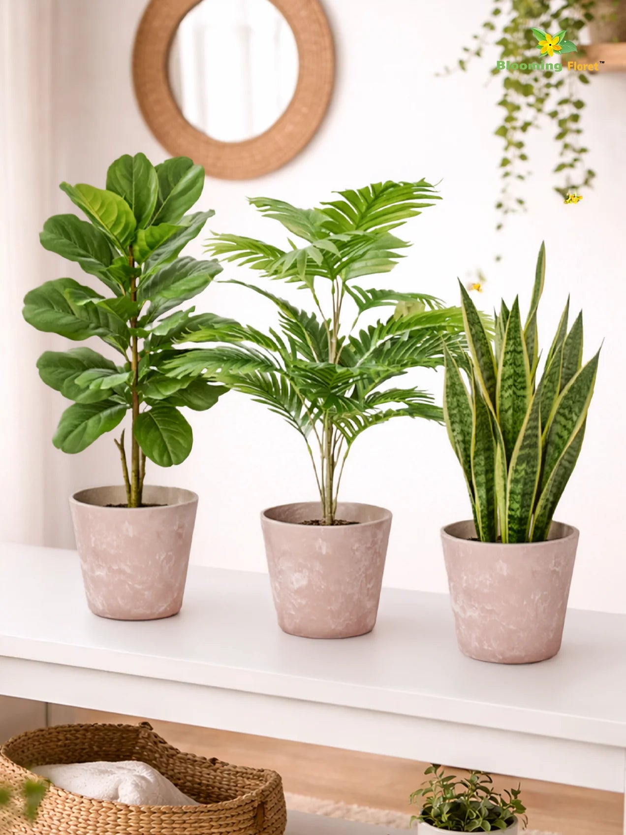 Modern Grace Poly Planter | Brown |15 cm | Set of 3