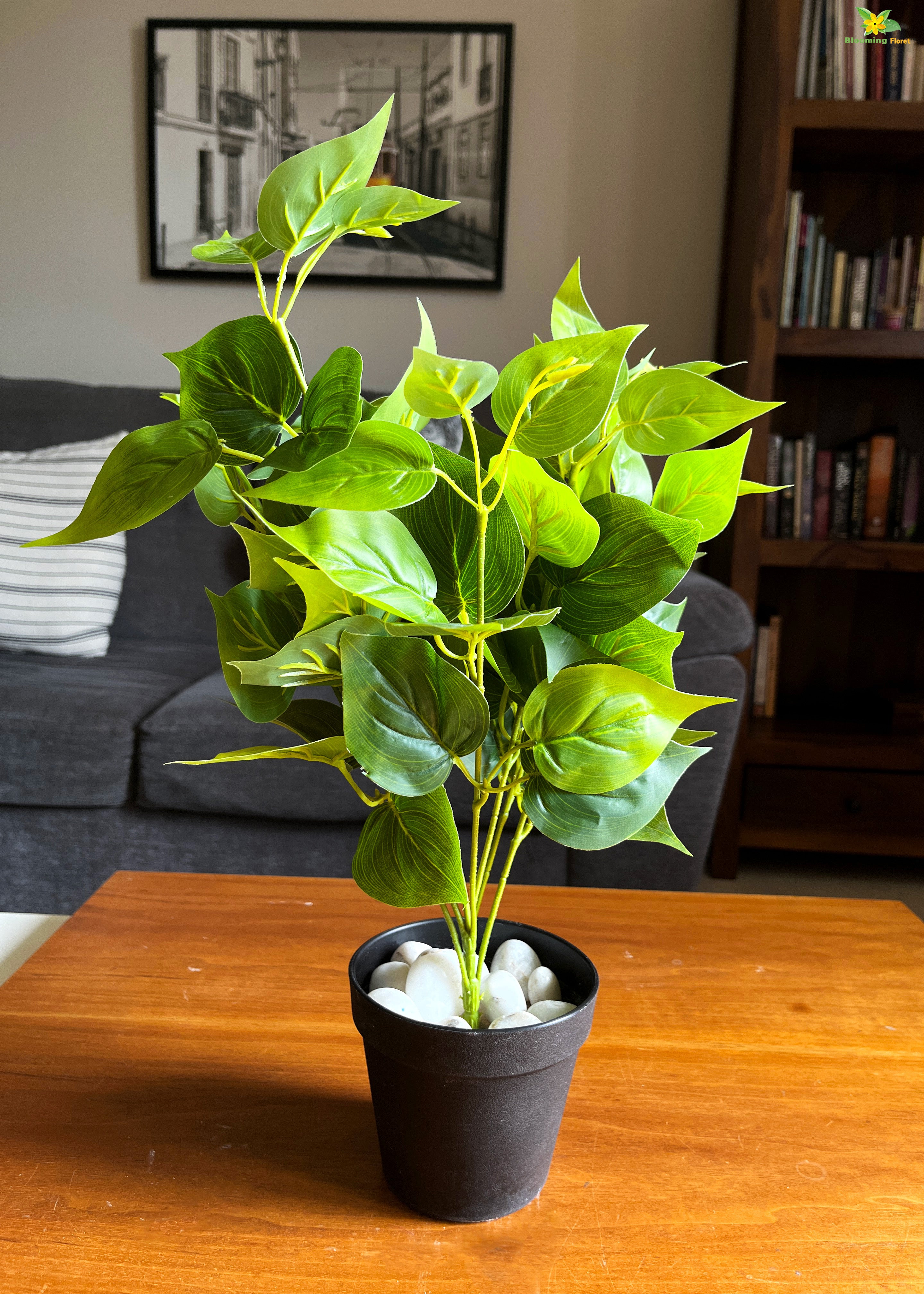 Artificial Jade Pothos for Decor | with Basic Pot | 48.3 cm