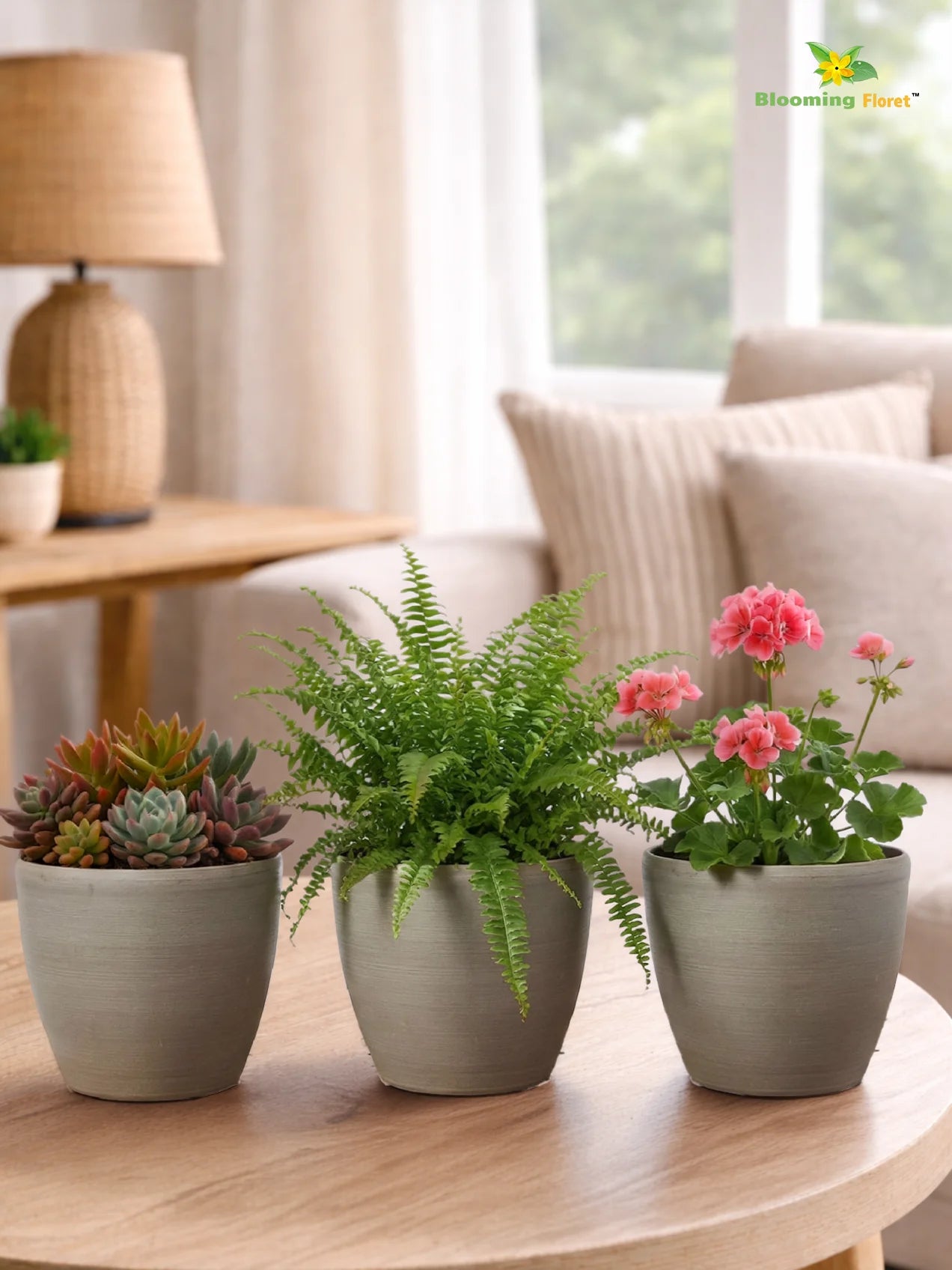 Decorative Pots | Light Brown | 15 cm | Set of 3
