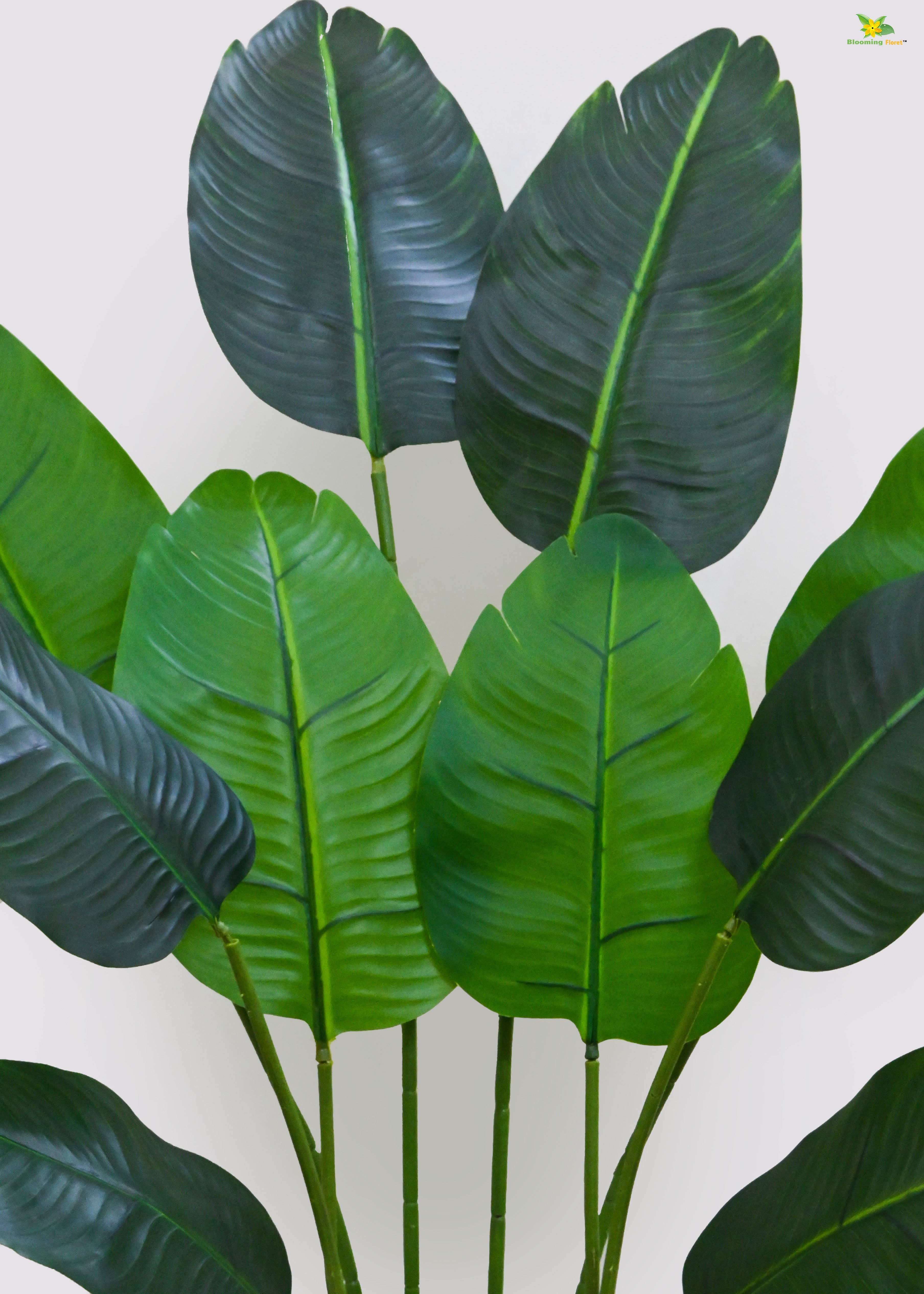 Artificial Banana Tree Plant for Decor | 3 Stems Having 10 Leaves With Pot  | 150cm