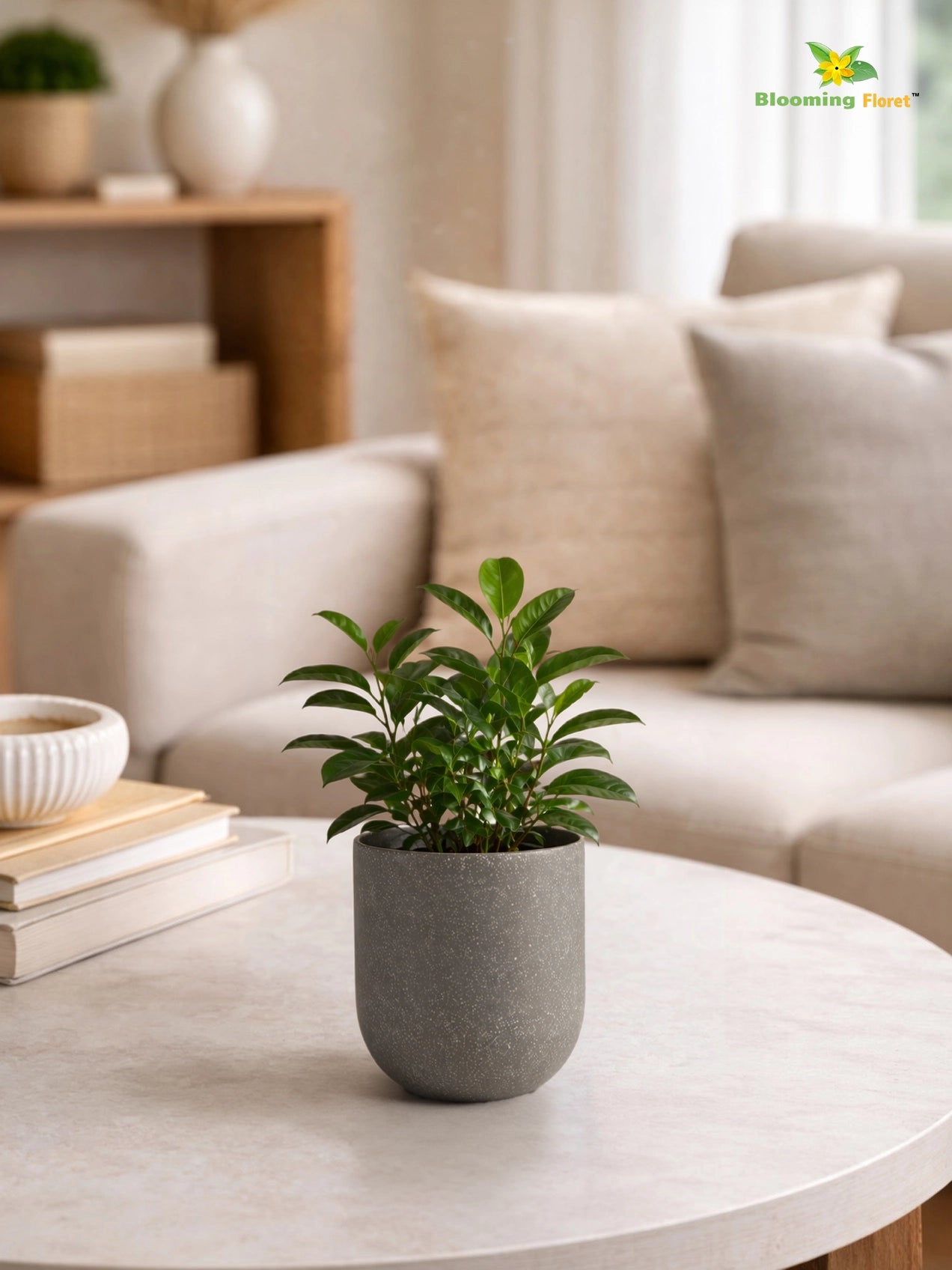 Round Base Fiber Pot | Grey | 10 cm