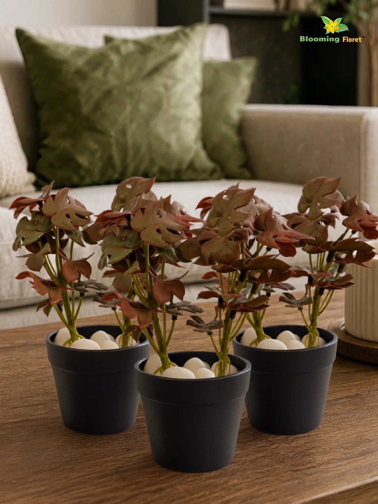 Artificial Mini Monstera Succulent | Maroon | 15 cm | Set of 3