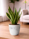 Vivid Tie-Dye Planter | Blue | 12 cm