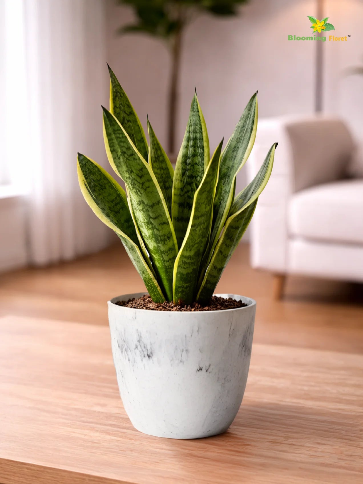 Vivid Tie-Dye Planter | Blue | 12 cm