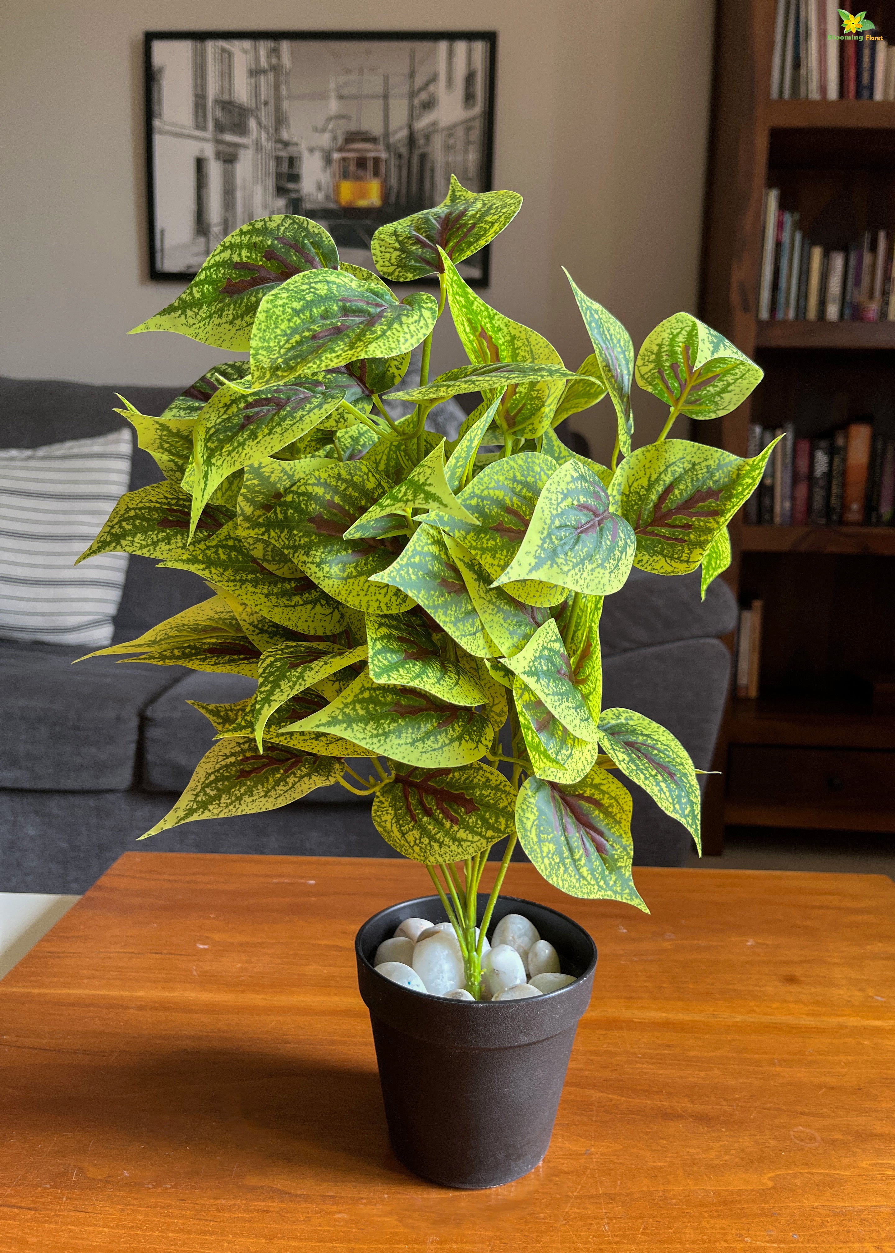 Artificial Dragon Heart Coleus Plant for Decor | with Basic Pot | 48.3 cm