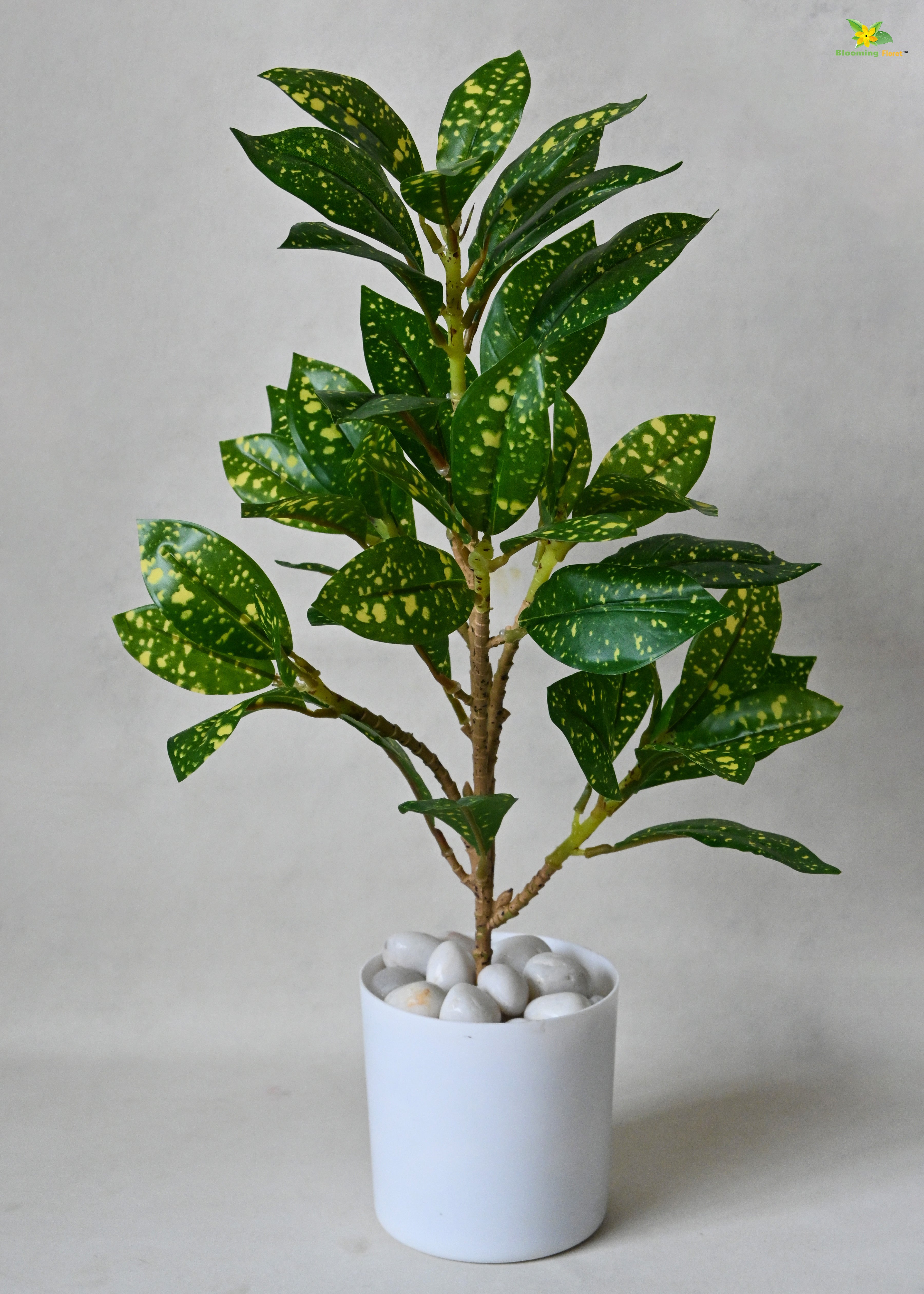 Artificial Gold Dust Croton Plant for Decor with Basic Pot | 45.7 cm