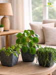 Coarse Textured Square Planter Pot | 15 cm | Set of 3
