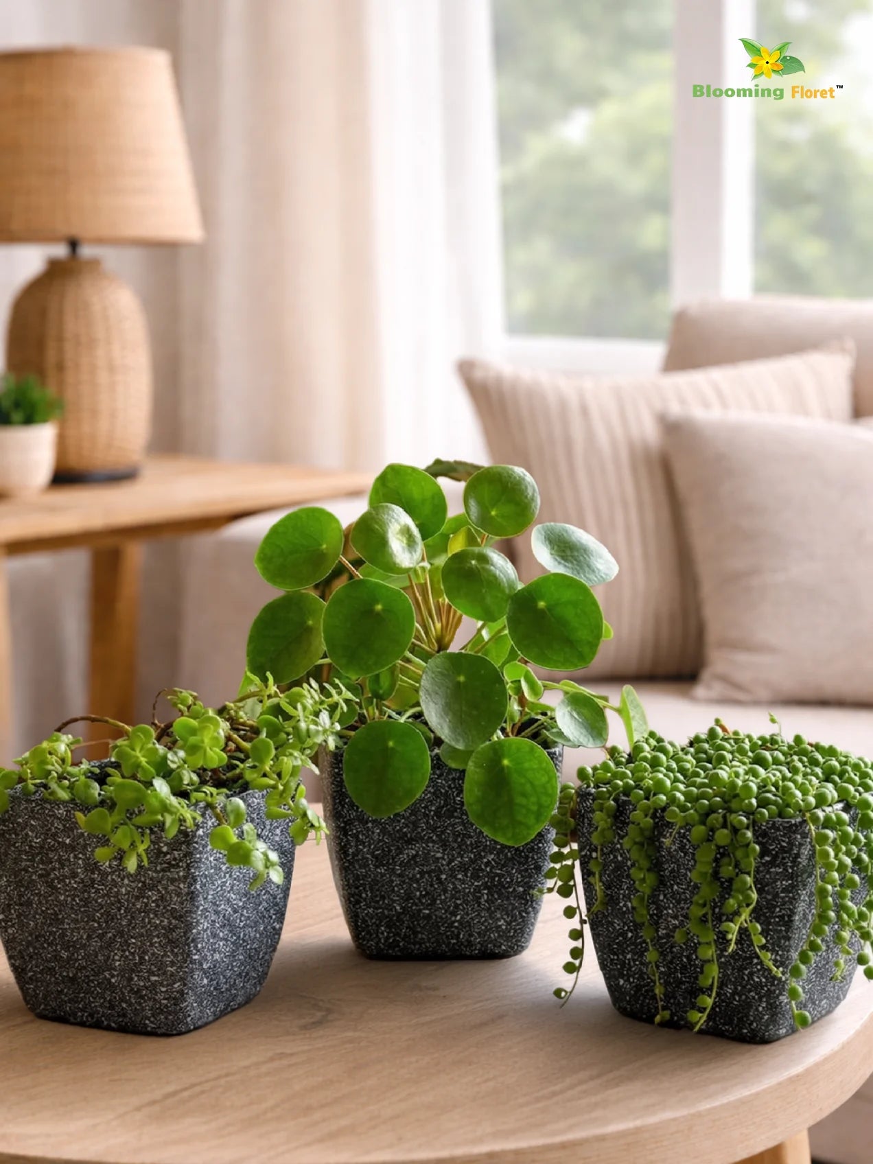 Coarse Textured Square Planter Pot | 15 cm | Set of 3