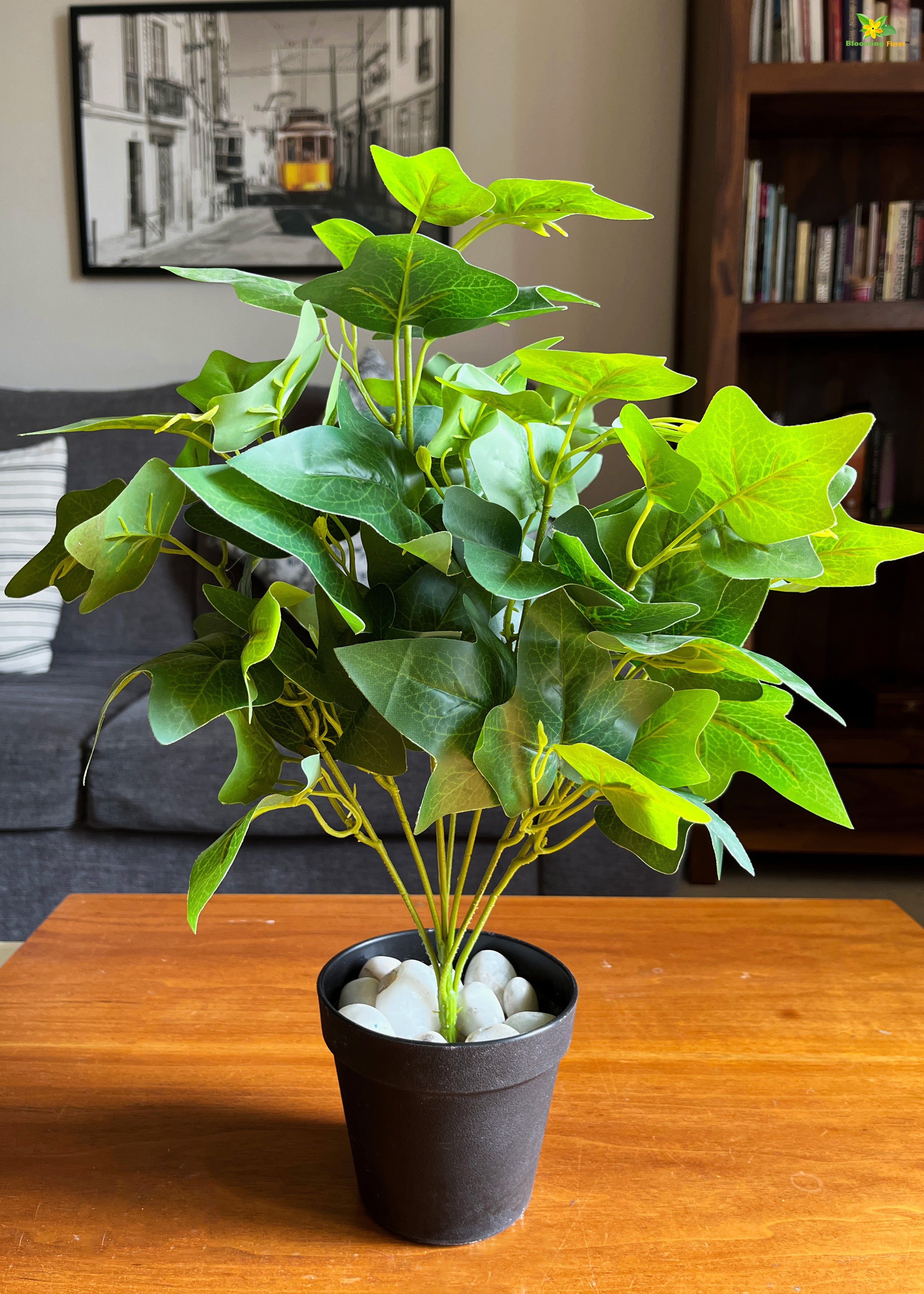 Artificial Japanese Ivy Plant for Decor | with Basic Pot | 48.3 cm