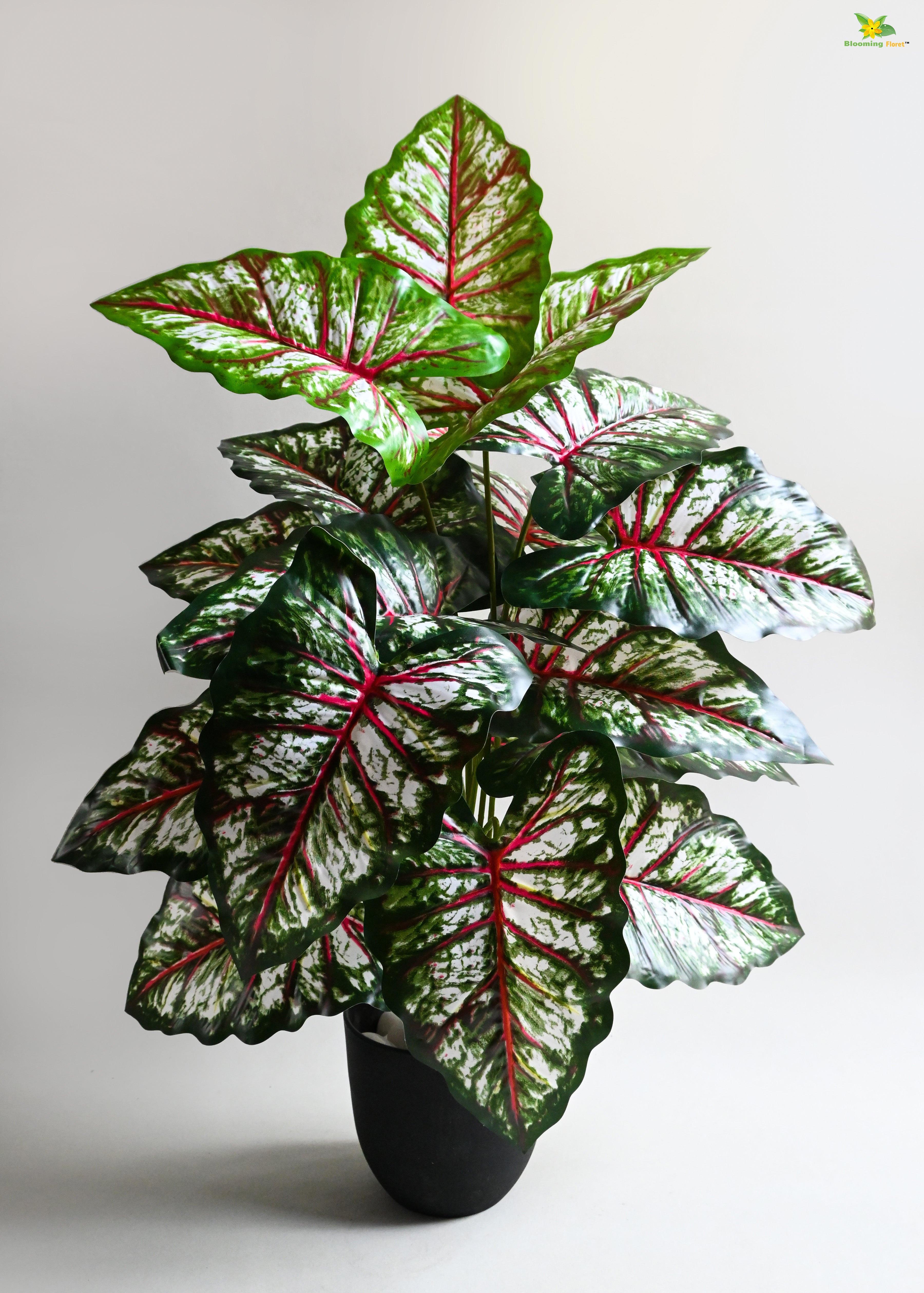 Artificial Tropical Caladium Plant for Decor | 18 Leaves with Basic Pot | 78.7 cm