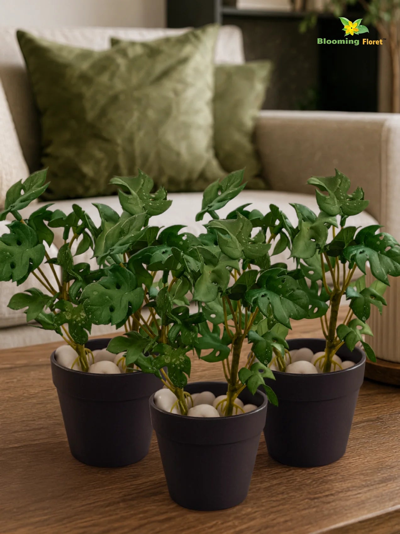 Artificial Mini Monstera Succulent | Light Green | 15 cm | Set of 3