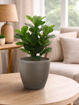 Decorative Pots | Light Brown | 17 cm