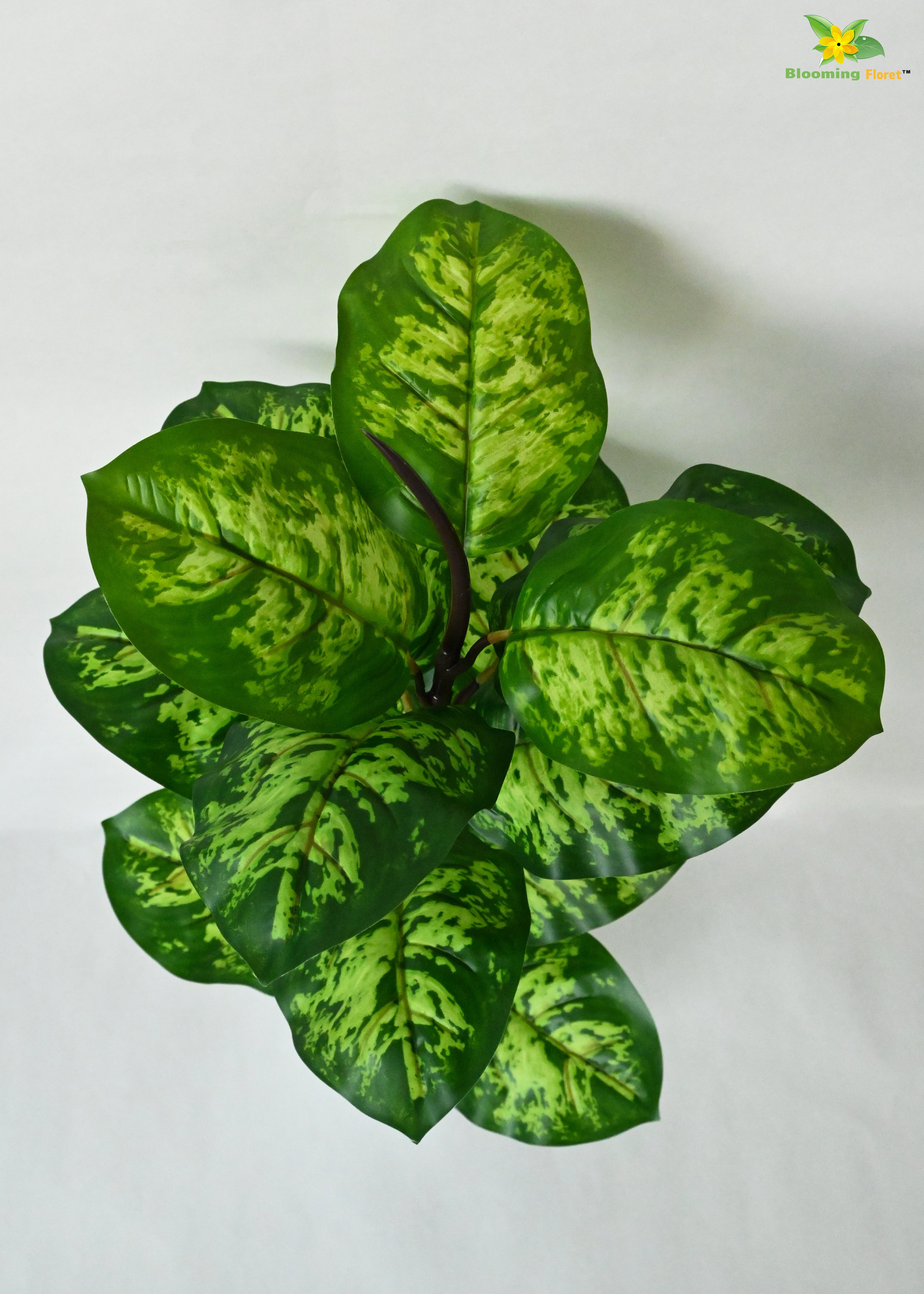 Artificial Dieffenbachia Seguine Plant For Decor | 15 Leaves with Basic Pot | 60.9 cm