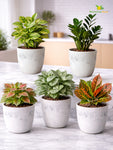 Vivid Tie-Dye Planter | Blue | 12 cm | Set of 5