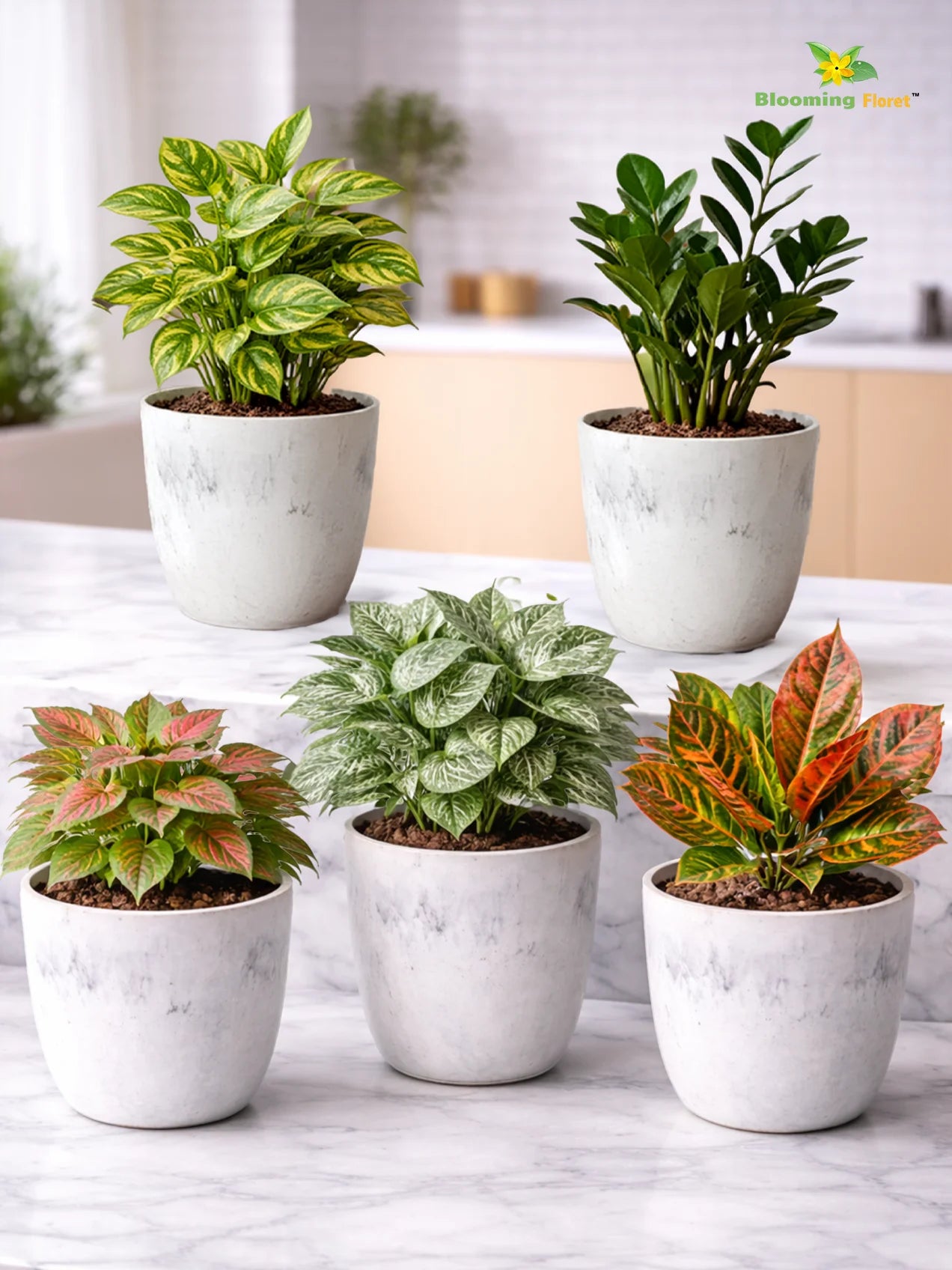 Vivid Tie-Dye Planter | Blue | 12 cm | Set of 5