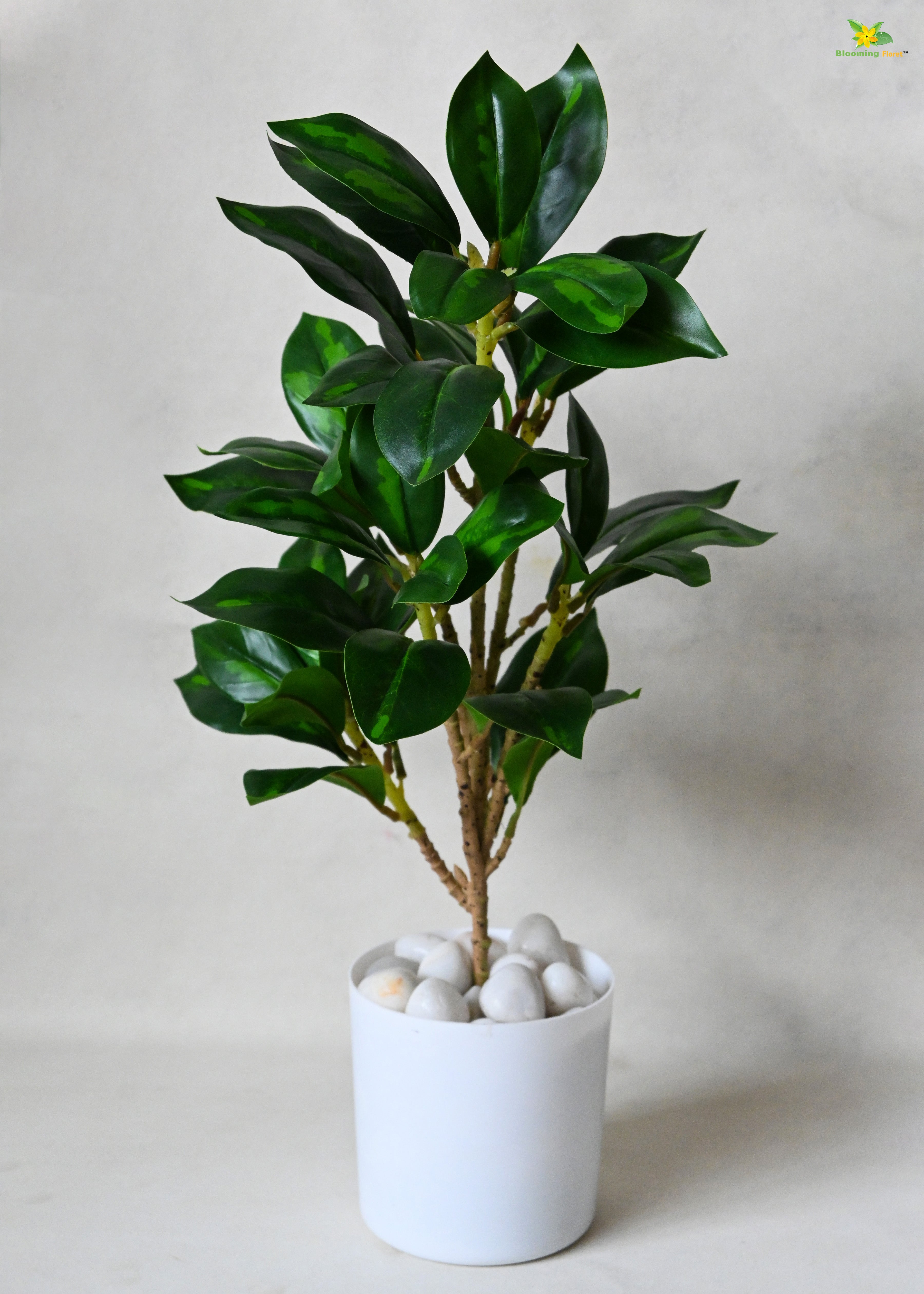 Artificial Zamioculcas Zamiifolia Plant for Decor with Basic Pot | 45.7 cm