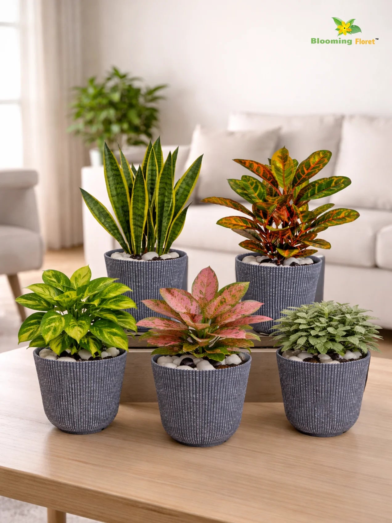 Ribbed Pattern Round Planter | 11.5 cm | Set of 5