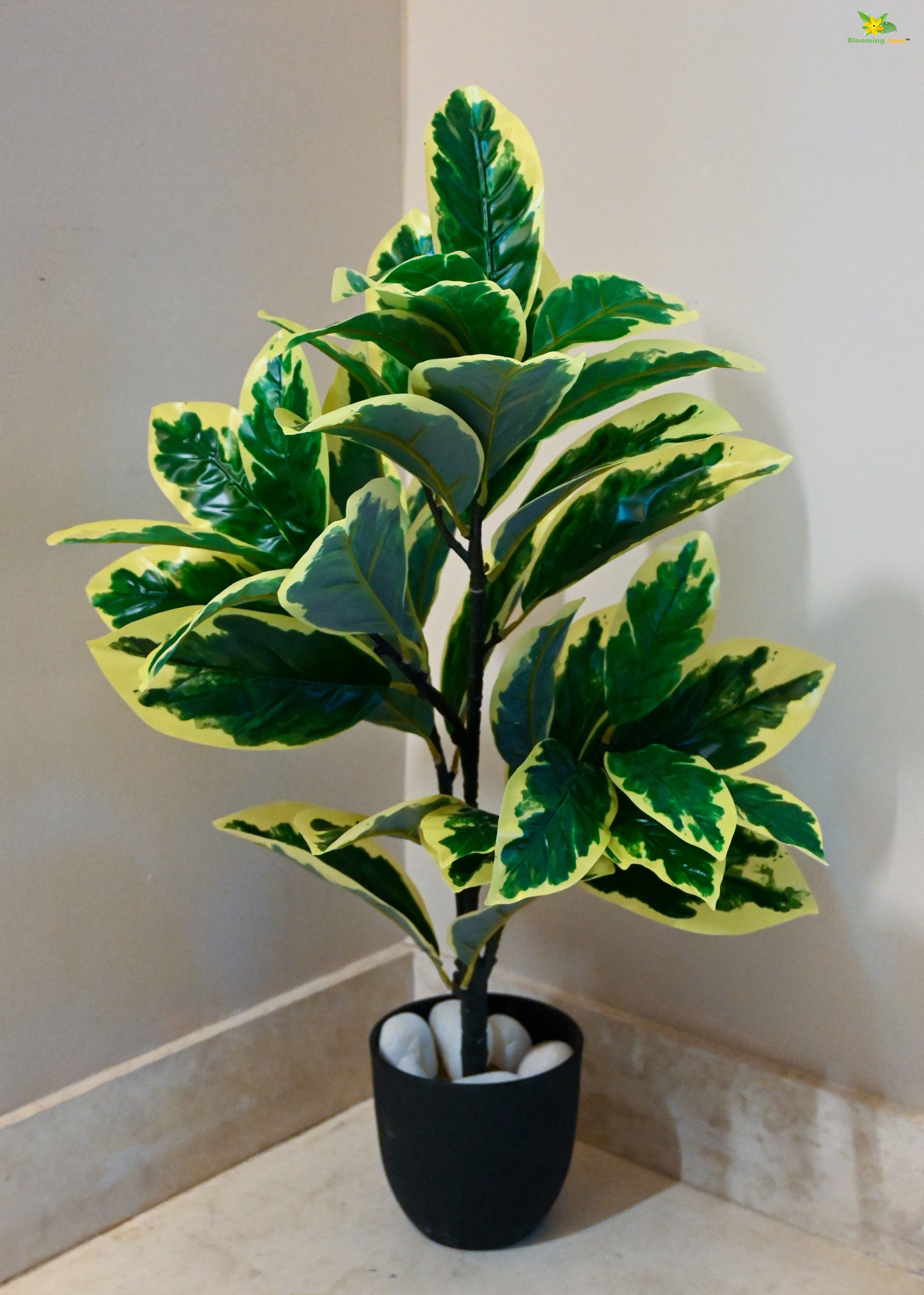 Artificial Pisonia Alba Plant for Decor 30 Leaves with Basic Pot | 65 cm