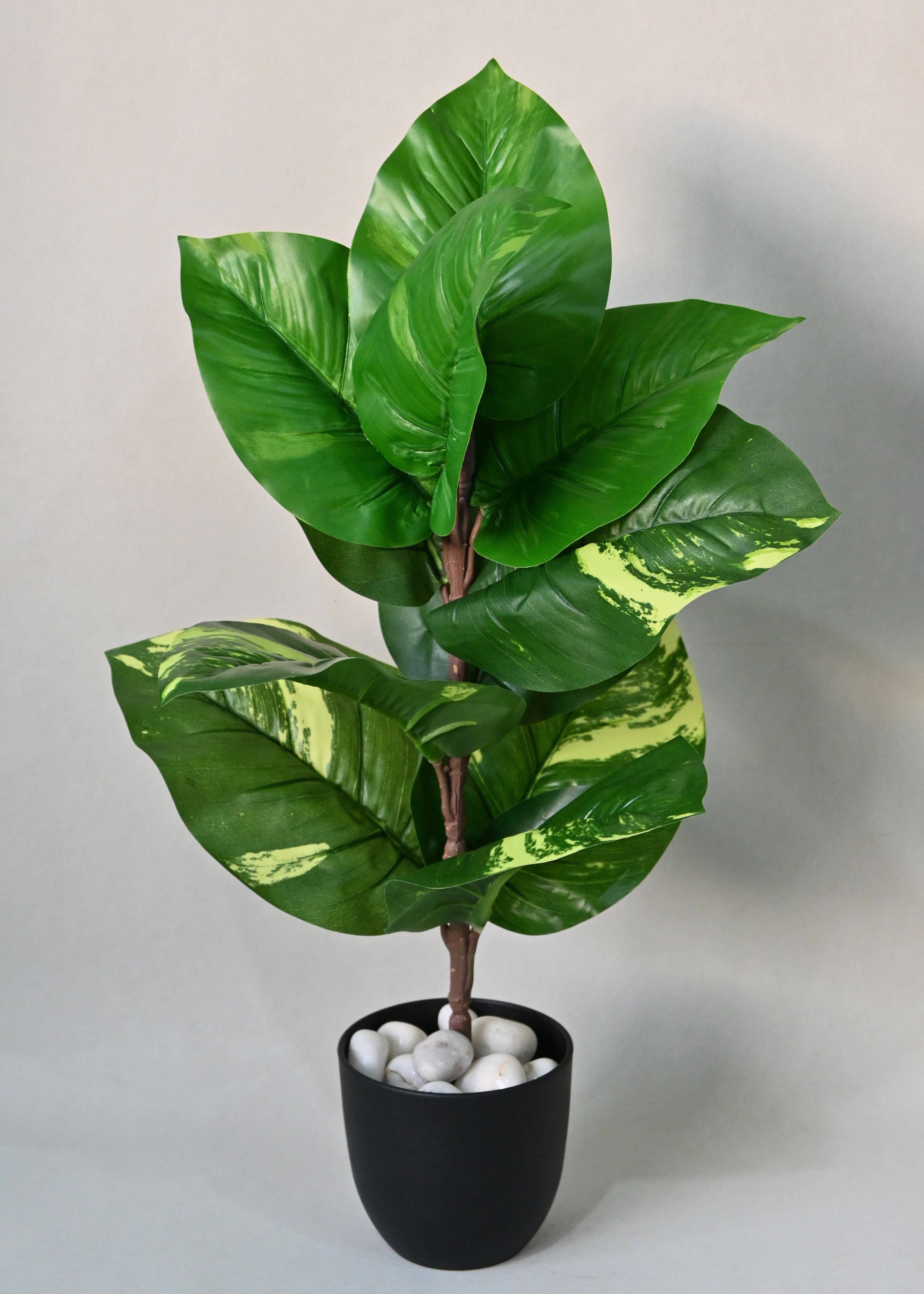 Artificial Dieffenbachia Plant for Decor 11 Leaves with Basic Pot | 58.4 cm