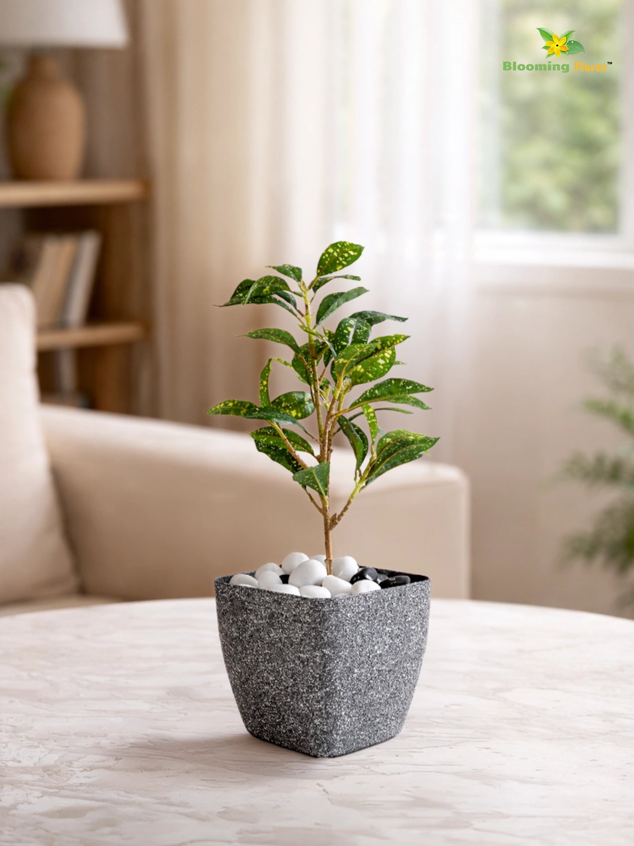 Coarse Textured Square Planter Pot | 10 cm