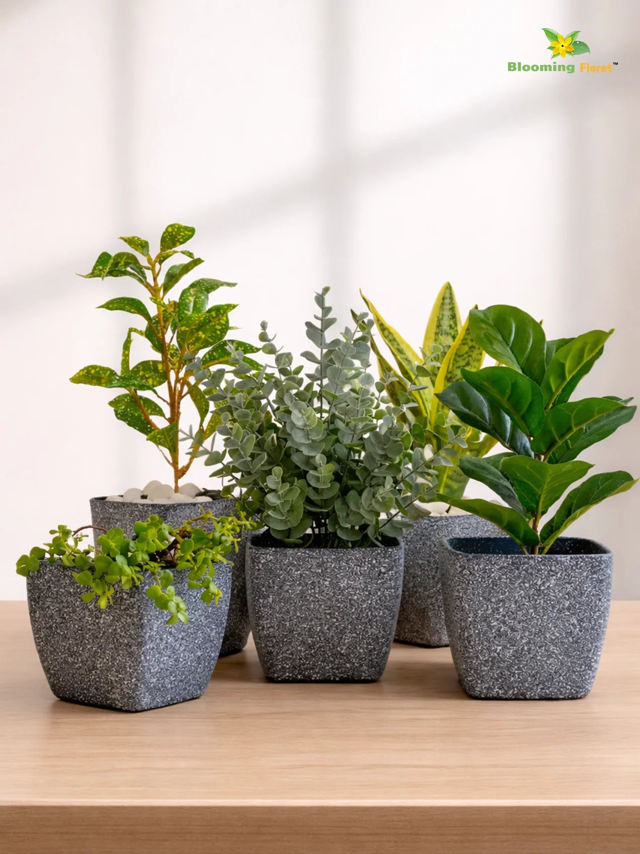 Coarse Textured Square Planter Pot | 13 cm | Set of 5