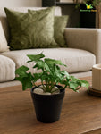 Artificial Ivy Succulent | Green & White Patterned Leaves | 10 cm