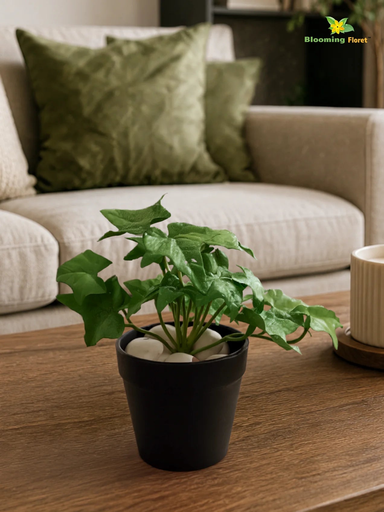 Artificial Ivy Succulent | Green & White Patterned Leaves | 10 cm