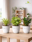 Vivid Tie-Dye Planter | Blue | 12 cm | Set of 3