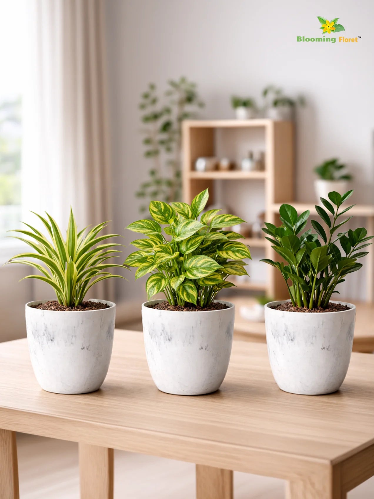 Vivid Tie-Dye Planter | Blue | 12 cm | Set of 3