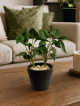 Artificial Money Plant Succulent | Dark Green | 15 cm