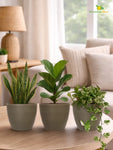 Decorative Pots | Light Brown | 12 cm | Set of 3