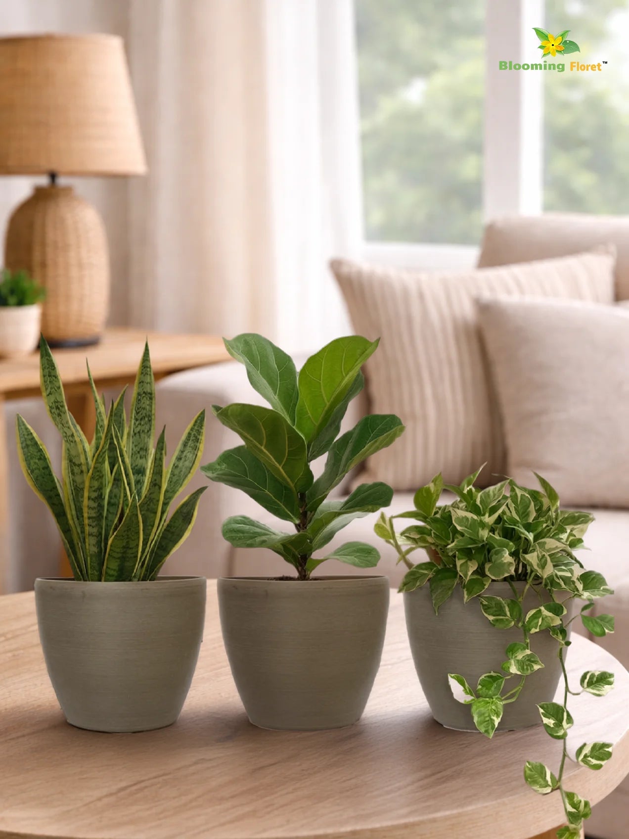 Decorative Pots | Light Brown | 12 cm | Set of 3