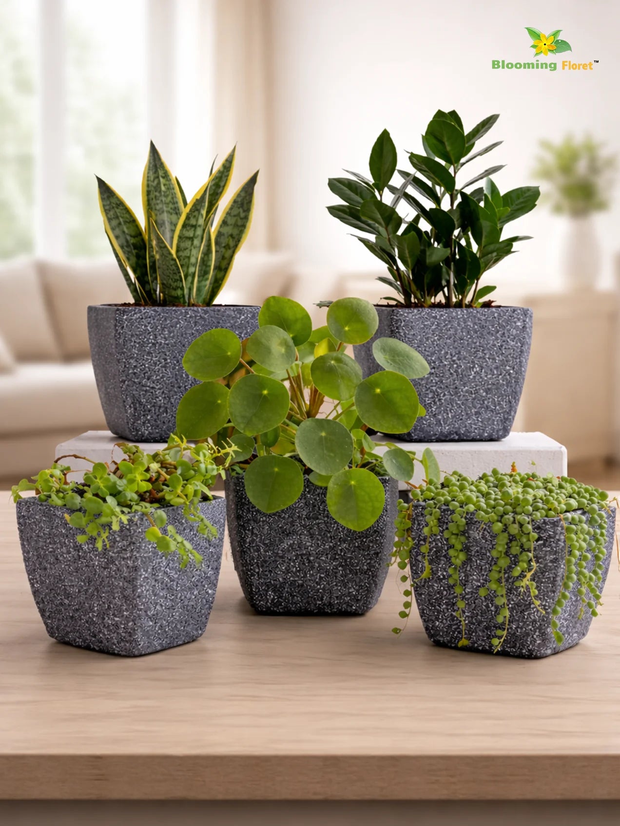 Coarse Textured Square Planter Pot | 15 cm | Set of 5