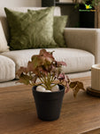 Artificial Ivy Succulent | Army Green | 10 cm
