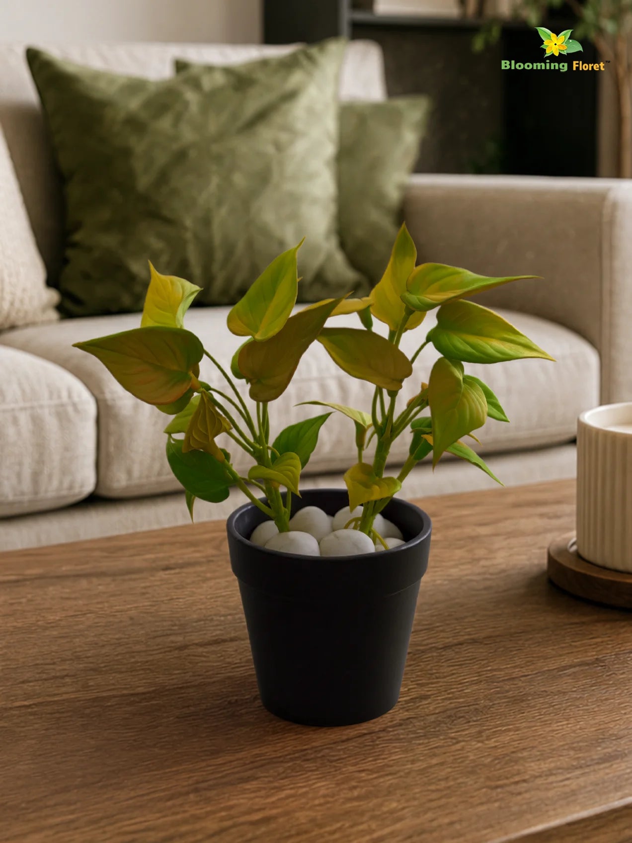Artificial Money Plant Succulent | Army Green | 15 cm