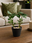 Artificial Money Plant Succulent | Small Green Leaves | 15 cm