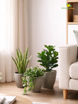 Decorative Pots | Light Brown | 17 cm | Set of 3