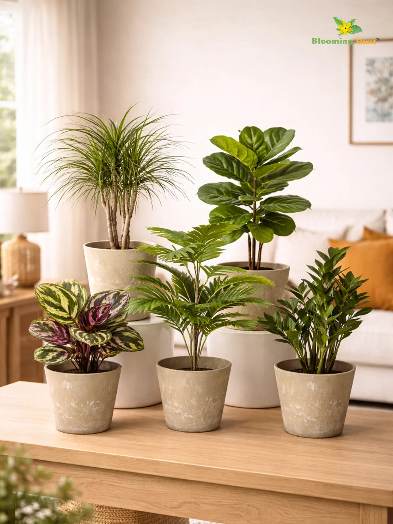 Modern Grace Poly Planter | Mustard Yellow | 15 cm | Set of 5