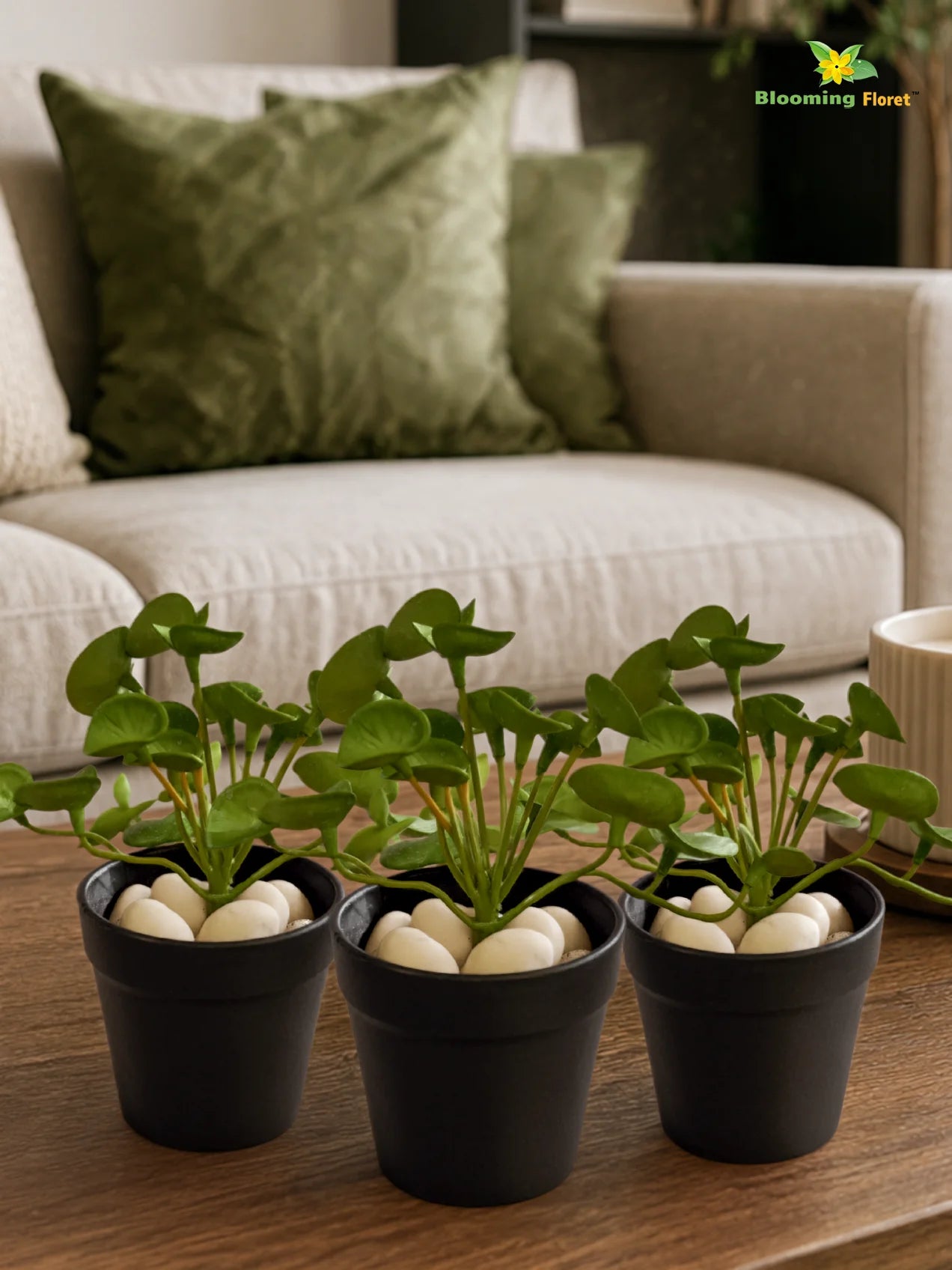 Lush Leaf Pennywort Artificial Succulent | Light Green & White Patterned | 14 cm | Set of 3