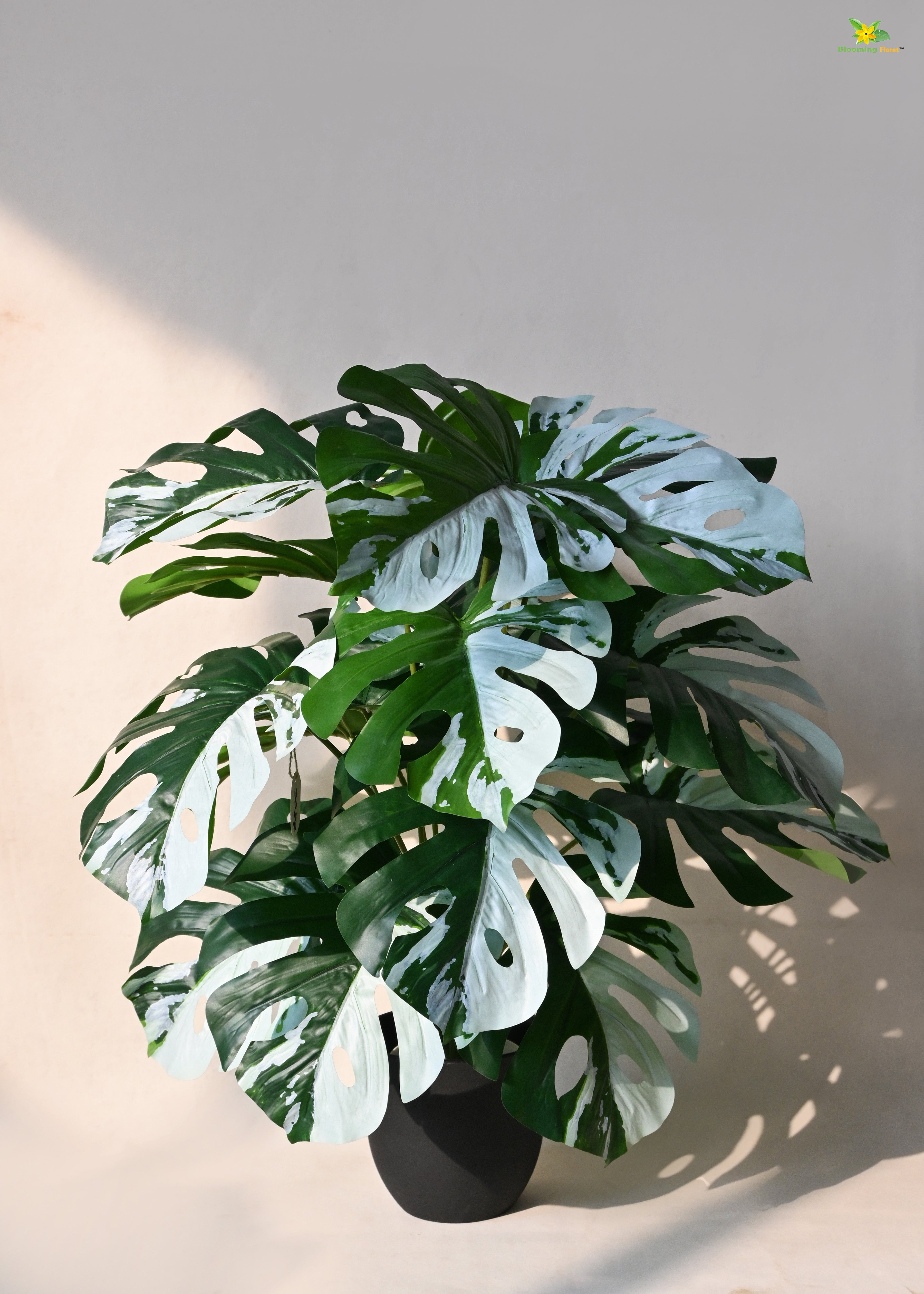 Artificial Monstera Plant for Decor | 18 Leaves with Basic Pot | 78.7 cm