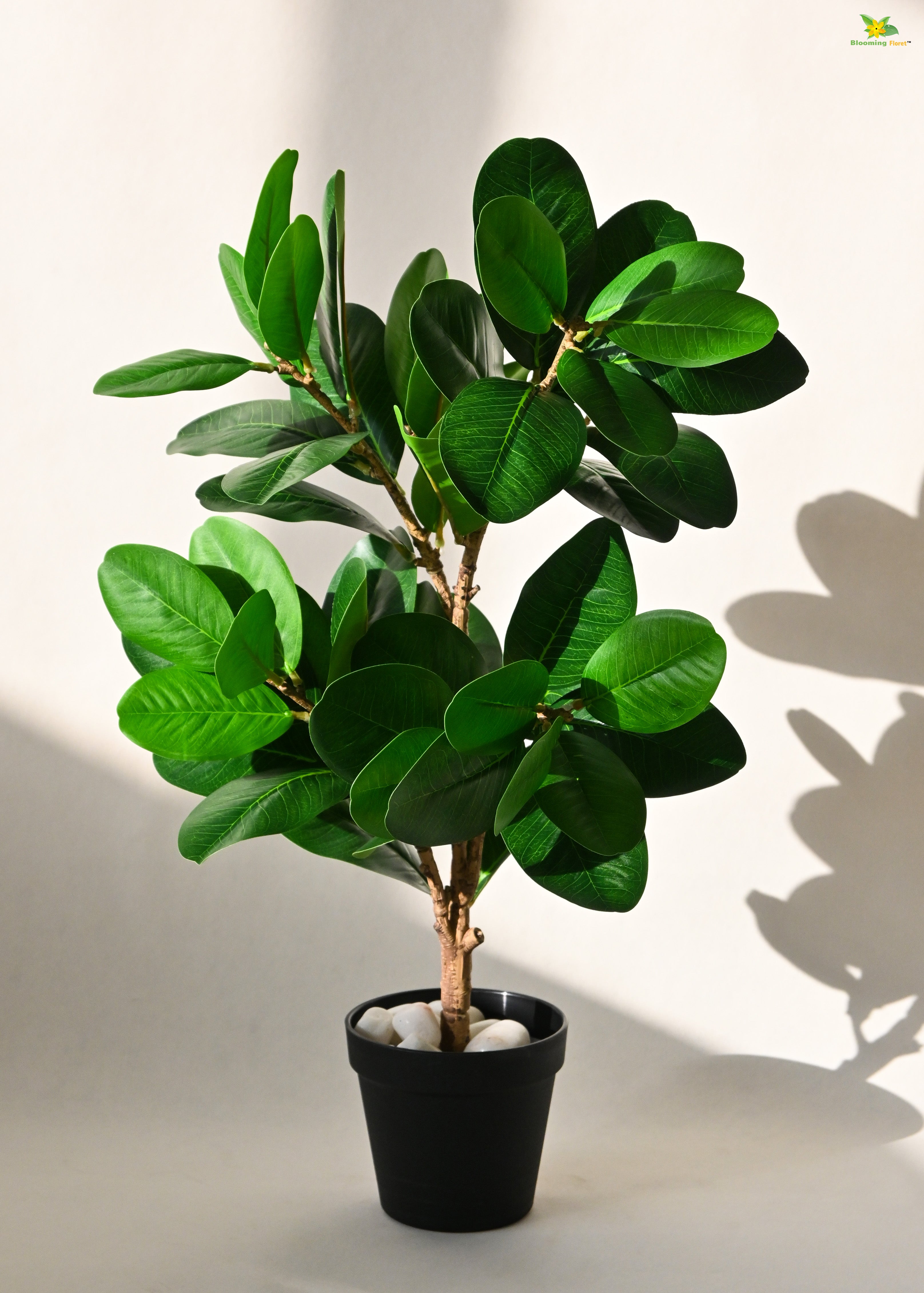 Artificial Fig Plant for Decor | 52 Leaves with Basic Pot | 68.5 cm