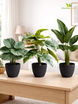 Elegant Ribbed Melamine Pot | Black | 15 cm | Set of 3